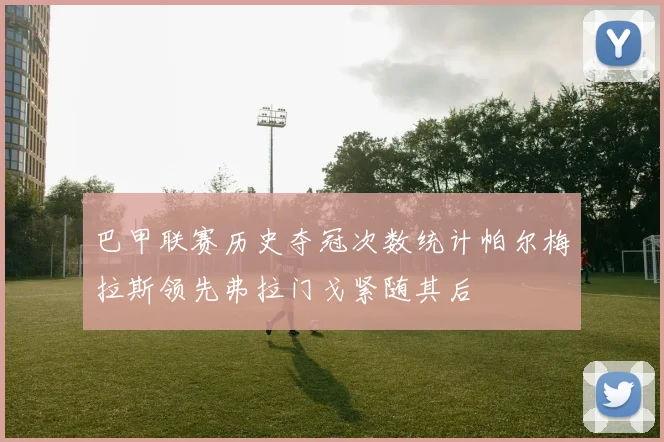 巴甲联赛历史夺冠次数统计帕尔梅拉斯领先弗拉门戈紧随其后