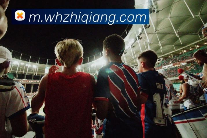 爱游戏体育APP 封面图